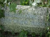 image of grave number 972931